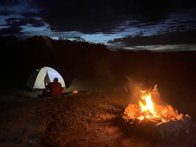 From Sydney: 2-Day Blue Mountains Camping 4WD & River Cruise - An In-Depth Look at the 2-Day Blue Mountains Adventure