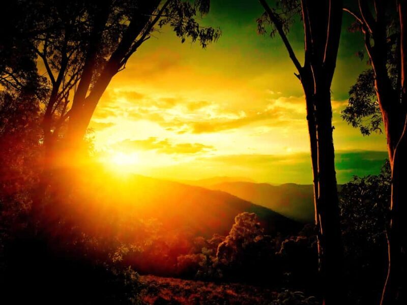 From Sydney: 2-Day Blue Mountains Camping 4WD & River Cruise - Practical Details and Value