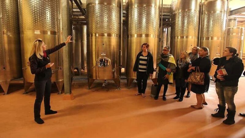From Sydney: Award-Winning Hunter Valley Wine & Cheese Tour - The Experience: What to Expect on This Hunter Valley Day Trip