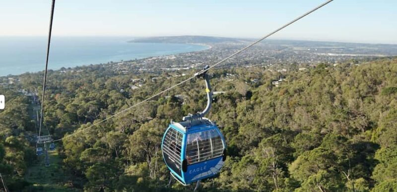 From Sydney: Blue Mountains and Featherdale Tour - An In-Depth Look at the Tour Experience