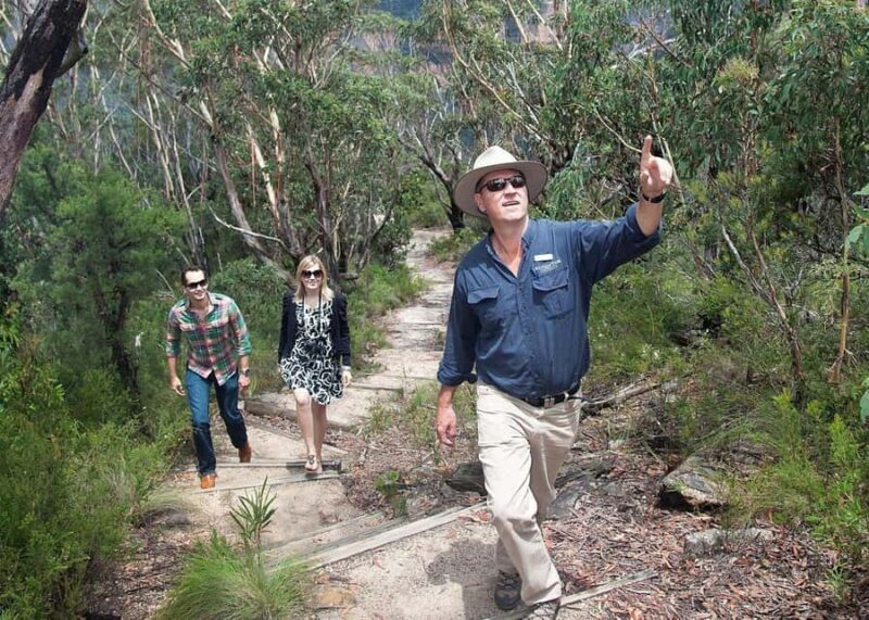 From Sydney: Blue Mountains Bushwalks & Featherdale Tour - Exploring the Blue Mountains: A Detailed Look at the From Sydney: Blue Mountains Bushwalks & Featherdale Tour