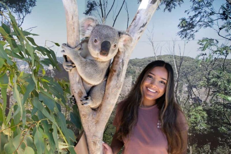 From Sydney: Blue Mountains Day Tour & Hop-on, Hop-off Tour - Key Points