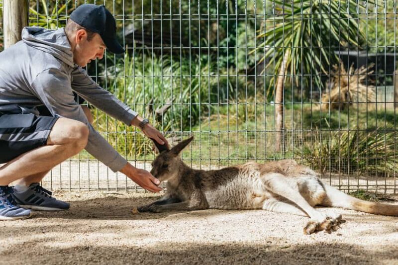 From Sydney: Blue Mountains Full-Day Trip - An In-Depth Look at the Blue Mountains Full-Day Tour