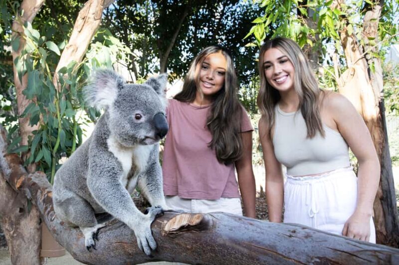 From Sydney: Blue Mountains, Scenic World, Zoo, & Ferry Ride - An In-Depth Look at the Itinerary