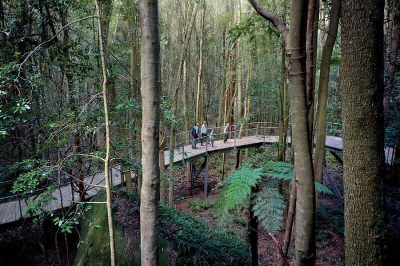 From Sydney: Blue Mountains, Scenic World, Zoo, & Ferry Ride - Practical Details and Considerations