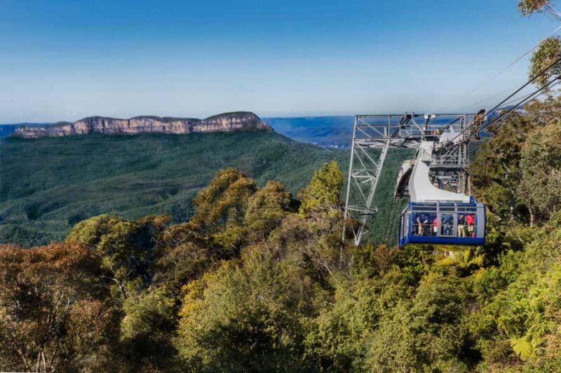 From Sydney: Blue Mountains, Scenic World, Zoo, & Ferry Ride - The Sum Up