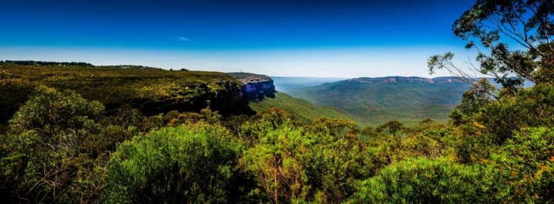 From Sydney: Blue Mountains Small-Group Tour Picnic & Hike - Who Will Love This Tour?