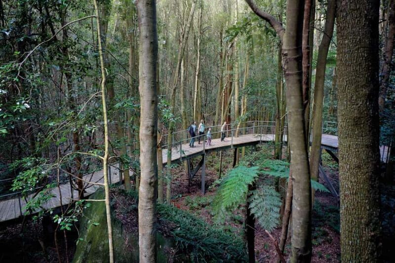 From Sydney: Blue Mountains, Sydney Zoo & Walking Tour - The Sum Up