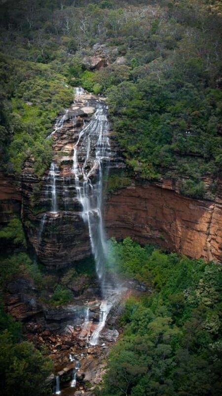 From Sydney: Blue Mountains, Sydney Zoo & Walking Tour - FAQ