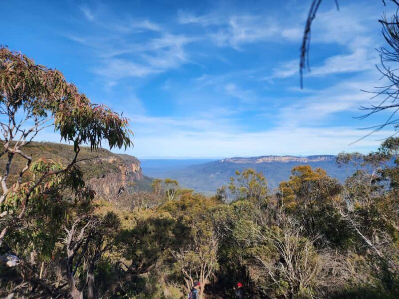 From Sydney: Blue Mountains Tour with Waterfall Walk & Lunch - Who Should Consider This Tour?