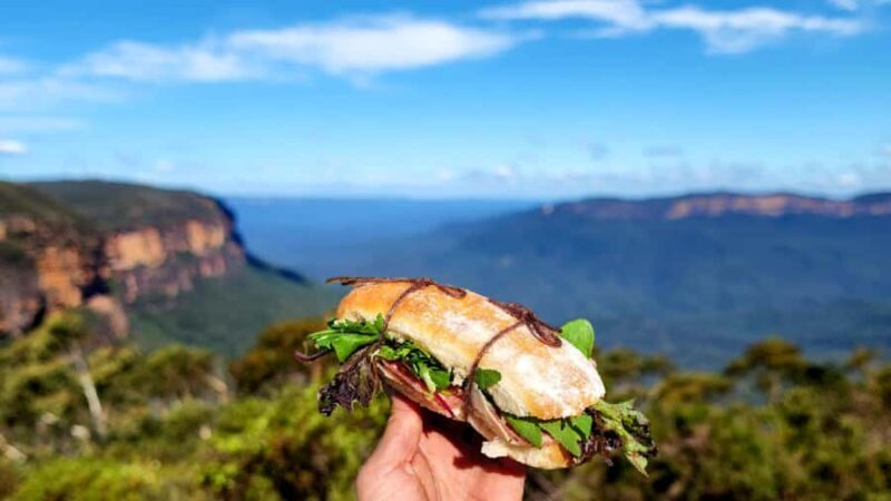 From Sydney: Blue Mountains Tour with Waterfall Walk & Lunch - Final Thoughts