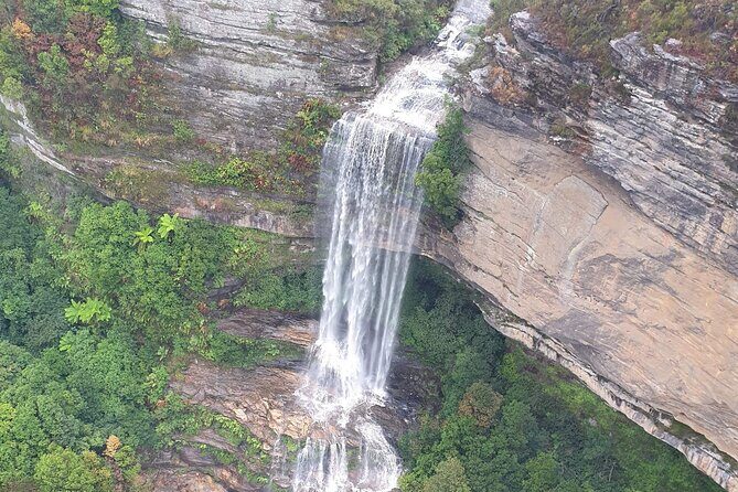 From Sydney: Blue Mountains with Zoo, Koala Photo & Scenic World - Final Thoughts: Is This the Right Tour for You?