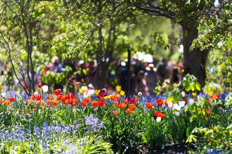 From Sydney: Canberra City Highlights and Floriade Day Tour - FAQ