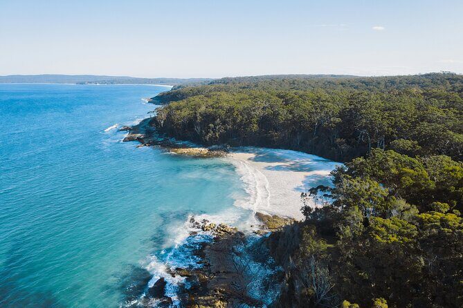 From Sydney: Day Tour to Jervis Bay with Beaches and Koalas - Discovering Jervis Bay: What’s Included and Why It Matters