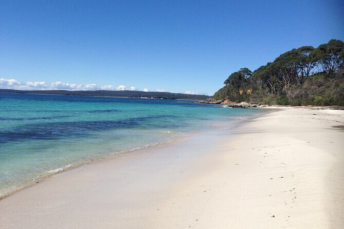 From Sydney: Day Tour to Jervis Bay with Beaches and Koalas - Frequently Asked Questions
