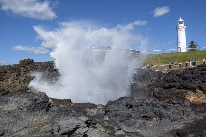 From Sydney: Day Tour to Jervis Bay with Beaches and Koalas - Final Thoughts