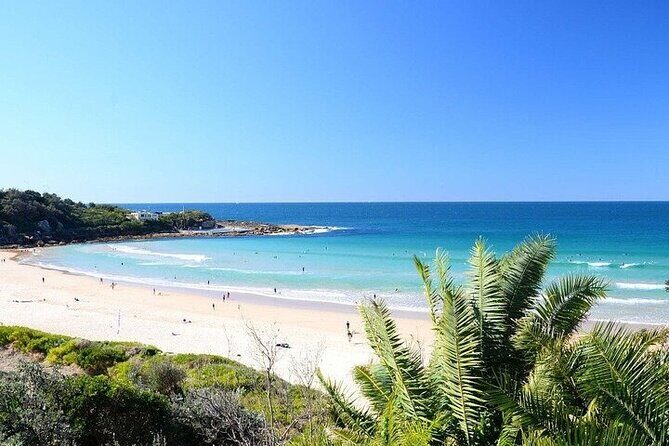 From Sydney: Full Day Tour of Golden Beaches and Ocean Vistas - Analyzing the Value