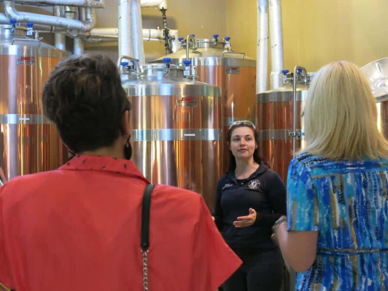 From Sydney: Hunter Valley Multi-Brewery Tour with Lunch - Who Will Love This Tour?
