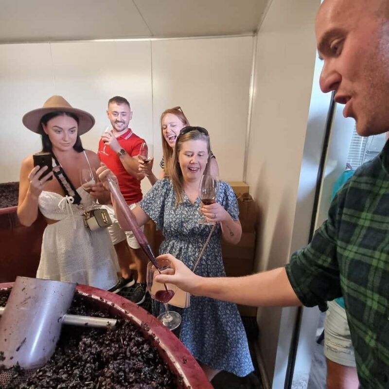 From Sydney: Hunter Valley Wine, Gin & Food Tastings Tour - Lunch and Relaxation
