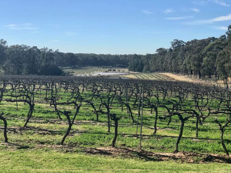 From Sydney: Hunter Valley Wine Tasting & Winery Picnic Tour - FAQ