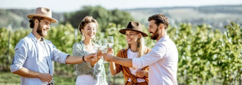 From Sydney: Luxury Hunter Valley Private Tour - An Introduction to the Hunter Valley Private Tour