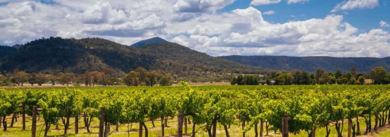 From Sydney: Luxury Hunter Valley Private Tour - The Value of a Private Luxury Experience