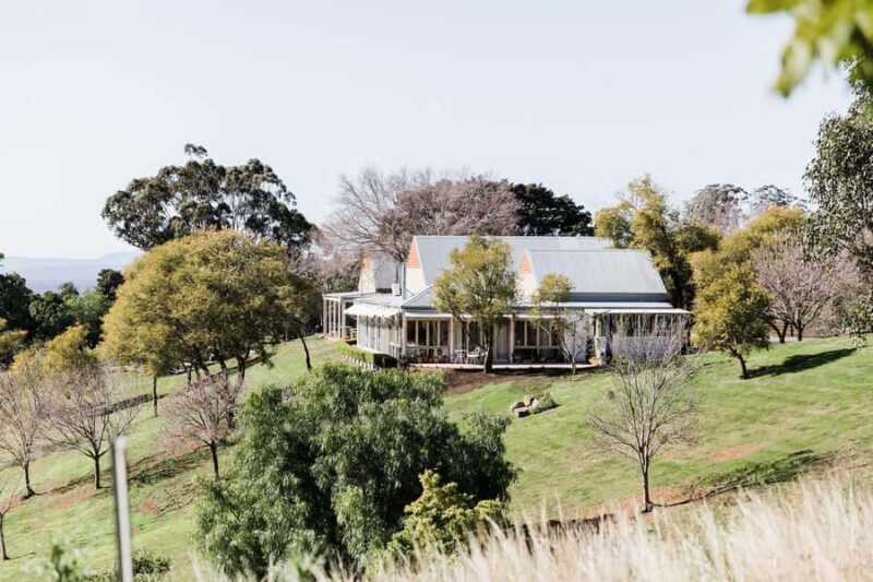 From Sydney: Luxury Hunter Valley Wine Tour with Fine Dining - From Reviews: Authentic Travelers’ Insights