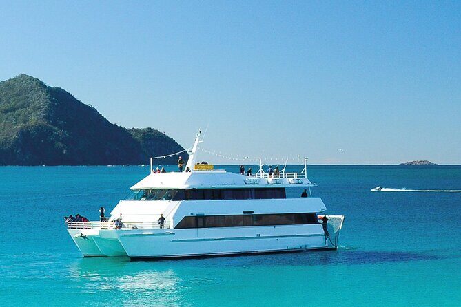 From Sydney: Port Stephens Dolphin, Koalas, Lunch & Sandboarding - Who Should Consider This Tour?