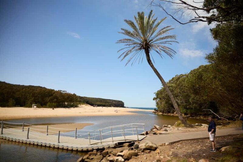 From Sydney: Royal National Park Private Tour - Key Points