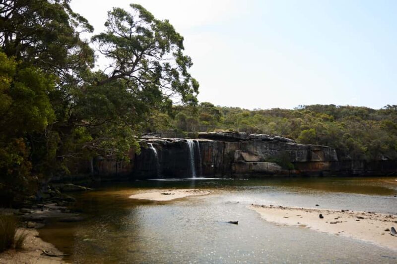 From Sydney: Royal National Park Private Tour - FAQ