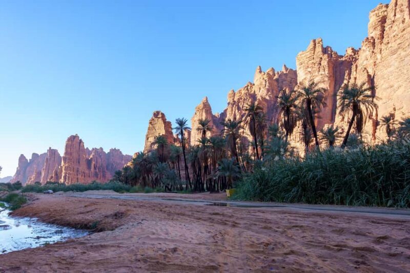 From Tabuk: Wadi Al Disah Private Tour - Key Points