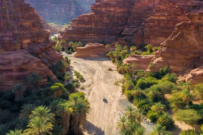 From Tabuk: Wadi Al Disah Private Tour - Introduction