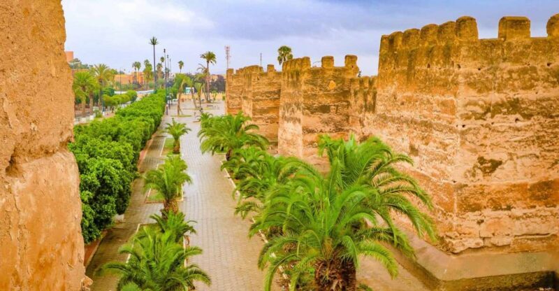 From Taghazout/Agadir: Taroudant and Tiout Day Trip & Tajine - Key Points