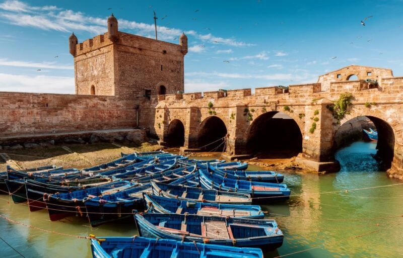 From Taghazout: Medina of Essaouira Guided Day Trip - The Practical Aspects