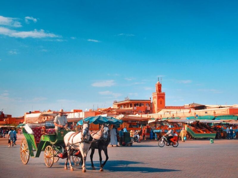 From Taghazout or Agadir: Marrakech Guided Day Trip - Authenticity and Value