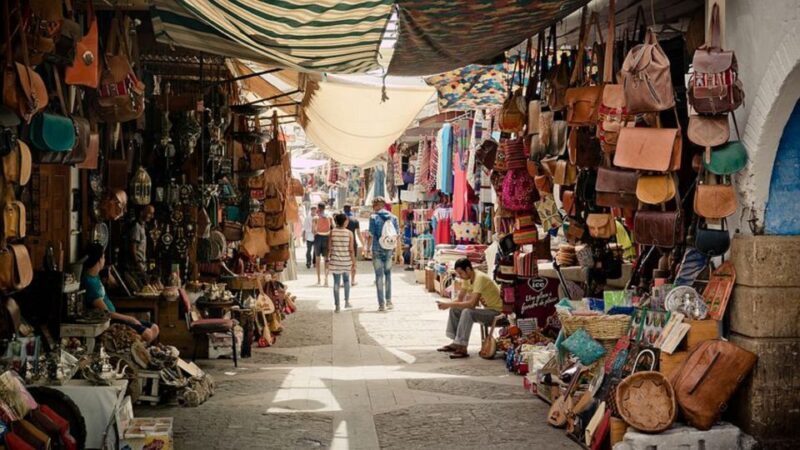 From Taghazout or Agadir: Marrakech Guided Day Trip - Who Should Consider This Tour?