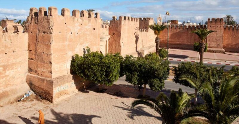 From Taghazout: Taroudant and Tiout Oasis Guided Tour - Key Points
