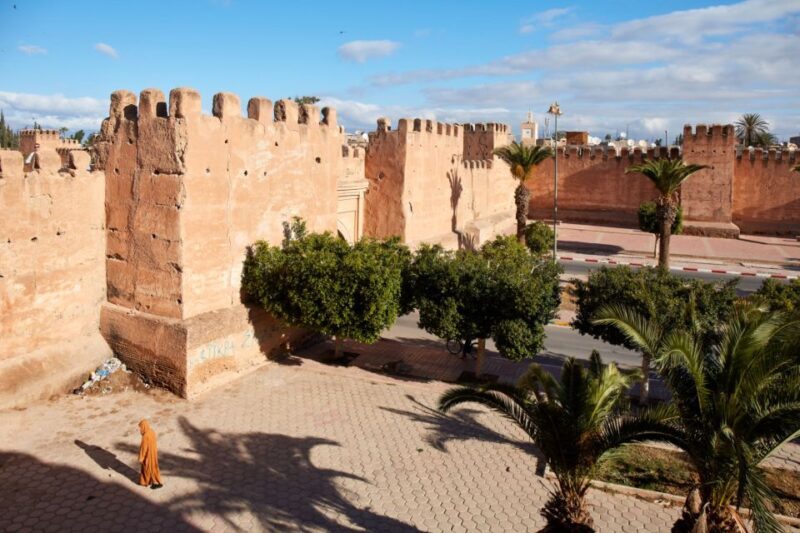 From Taghazout: Taroudant and Tiout Oasis Guided Tour - Final Thoughts