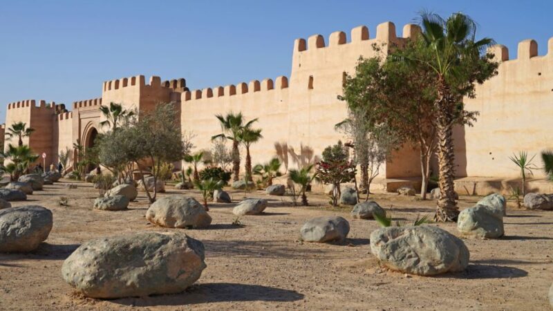 From Taghazout: Taroudant and Tiout Oasis Guided Tour - FAQ