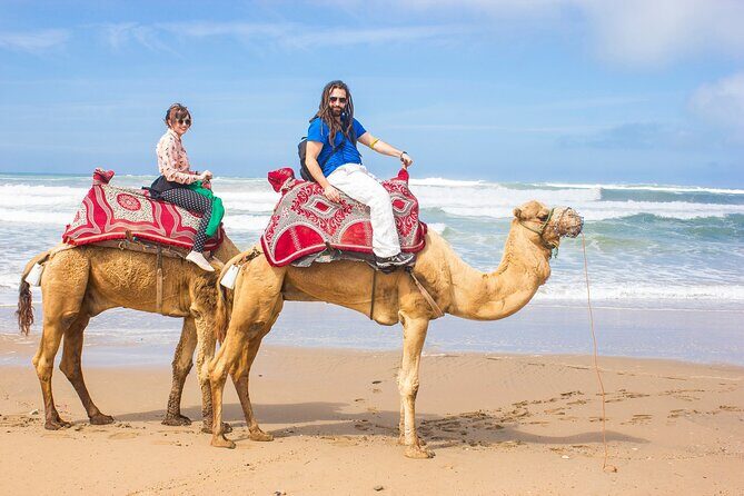 From Taghazoute : 2 Hours Agadir Camel Ride With Transfers and Tea Break - What to Expect on Your Camel Ride