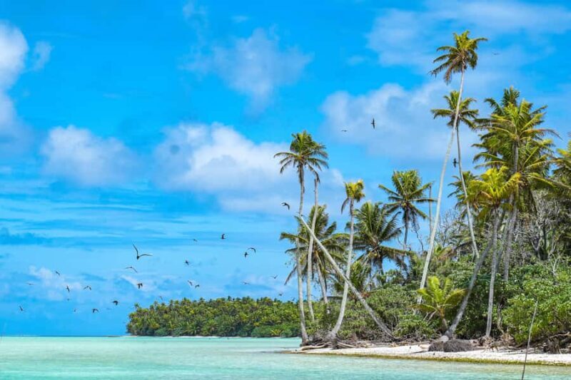 From Tahiti: Tetiaroa Island Tour by Sailing Catamaran - Authentic Experiences and Guest Feedback
