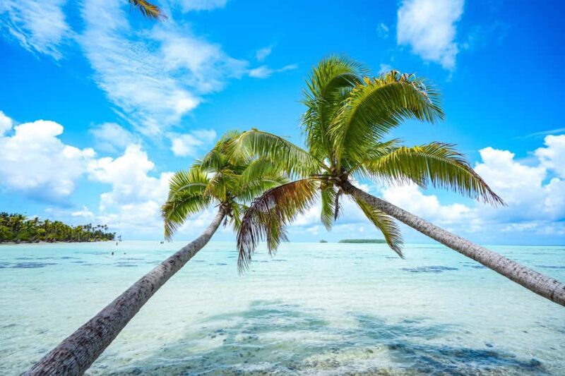 From Tahiti: Tetiaroa Island Tour by Sailing Catamaran - A detailed look at the Tetiaroa Island Tour