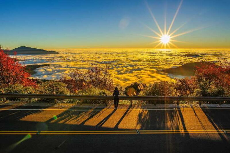 From Taipei City: 3-Day Sun Moon Lake & Alishan Private Tour - Final Thoughts