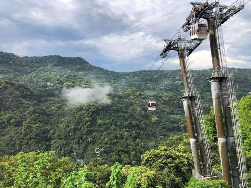 From Taipei: Pinglin Tea Culture and Maokong Guided Day Tour - Key Points