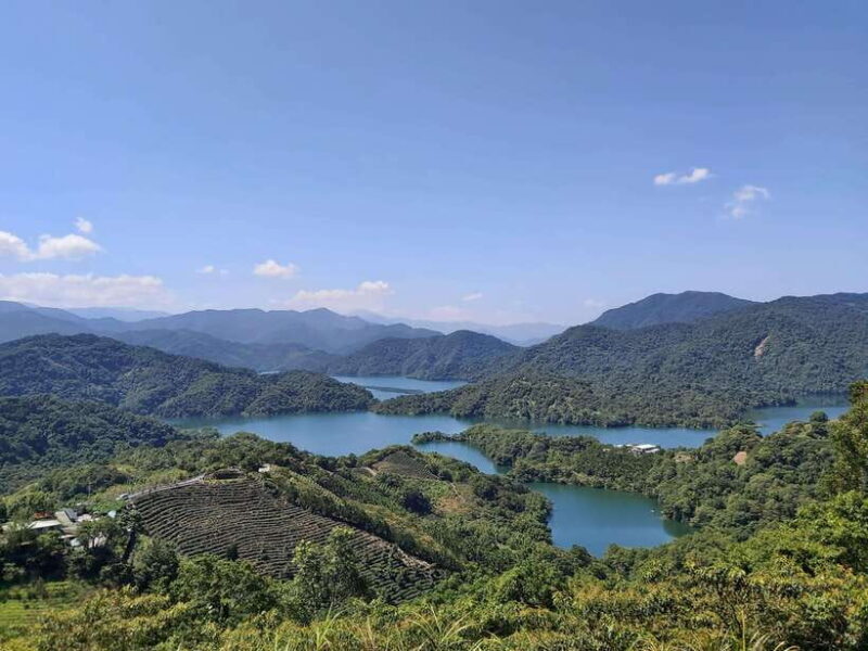 From Taipei: Pinglin Tea Culture and Maokong Guided Day Tour - A Detailed Look at the Experience