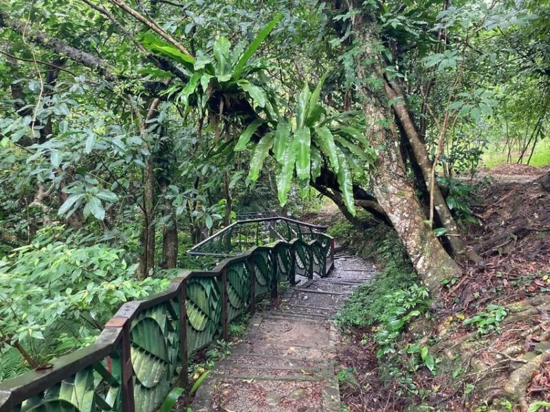 From Taipei: Pinglin Tea Culture and Maokong Guided Day Tour - FAQ