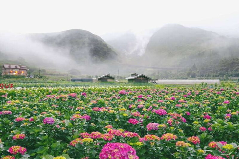 From Taipei: Private Yangmingshan Volcano and Nature Tour - Key Points