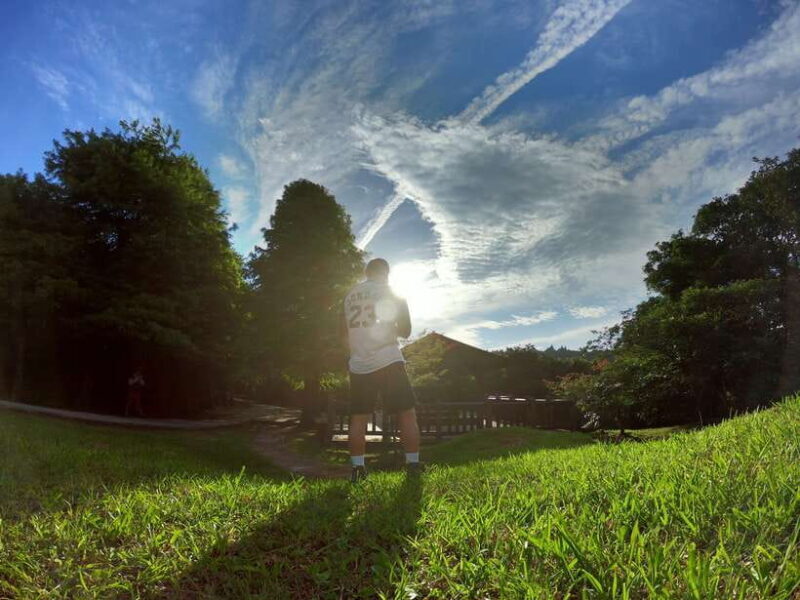 From Taipei: Private Yangmingshan Volcano and Nature Tour - Who Will Love This Tour?