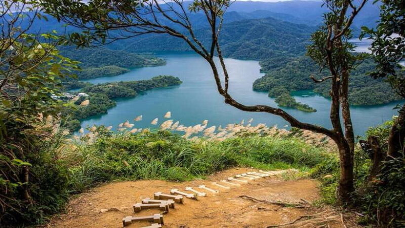 From Taipei: Thousand-Island Lake & Tea Museum Private Tour - What Makes This Tour Stand Out
