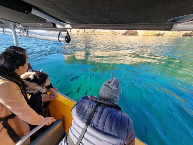 From Tairua: 2 Hour Cathedral Cove Tour with Local Guide - Discovering the Coastline: What to Expect on the Tour